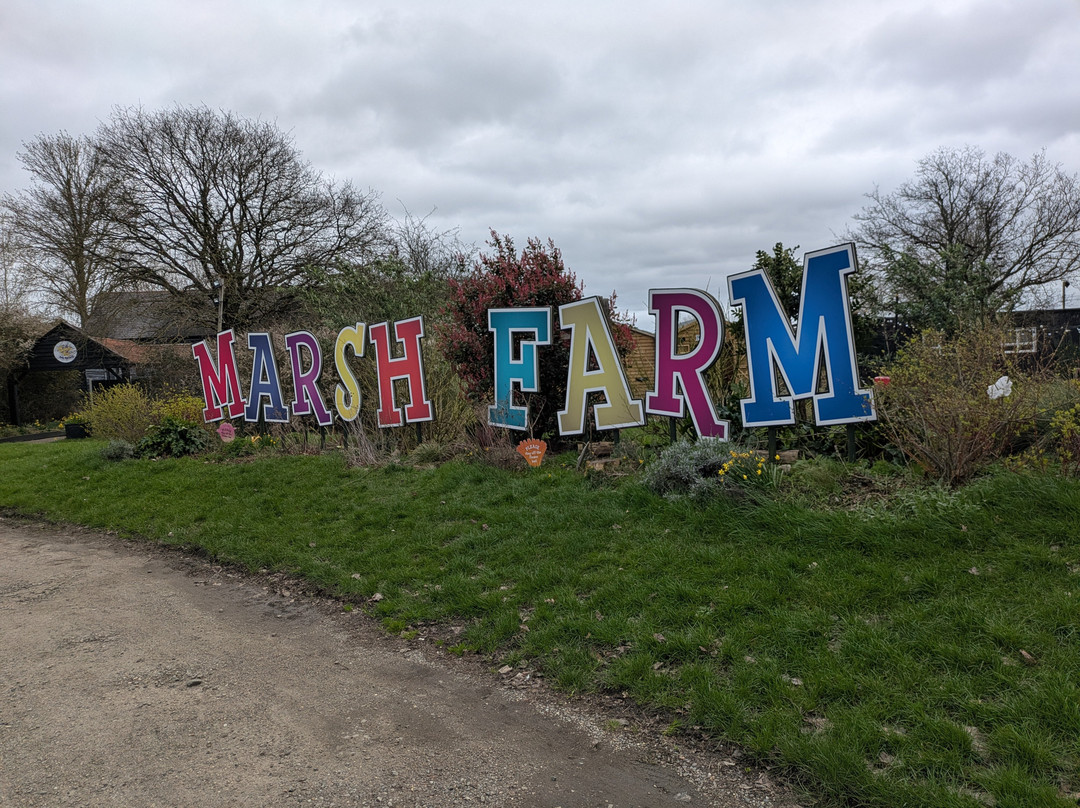 Marsh Farm Animal Adventure Park-Woodham Ferrers必去景点