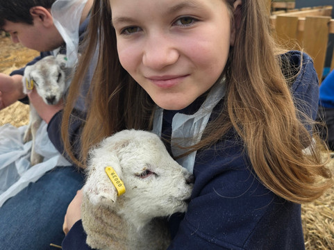 Hillview Animal Park-Alloa必去景点