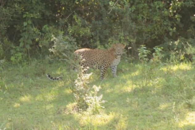 Hirumal Tours-班达拉维拉必去景点