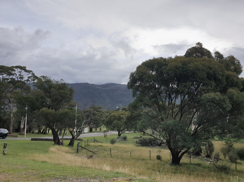 Wildbrumby Thredbo Valley Distillery-金德拜恩必去景点
