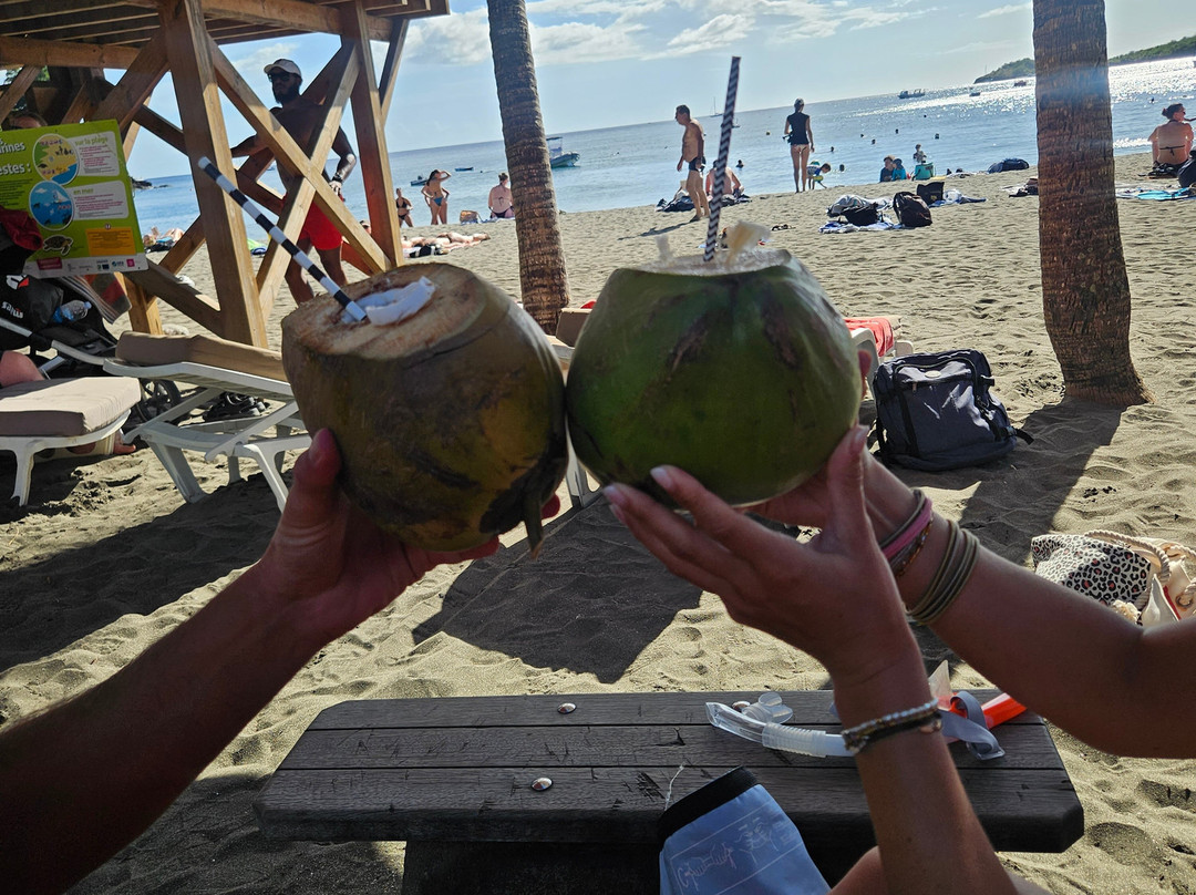 O Transat Sun-Bouillante必去景点