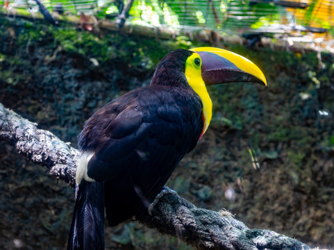 El Pantanal-瓜亚基尔必去景点