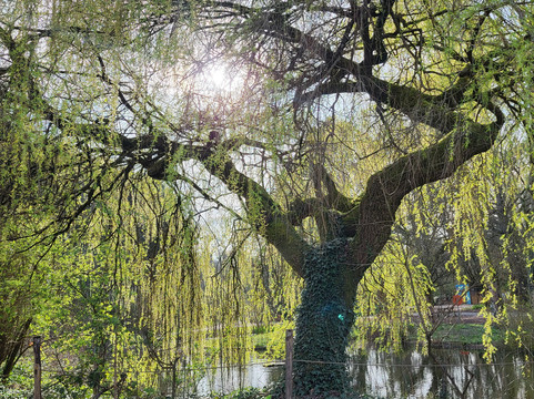 Marwell Zoo-温彻斯特必去景点