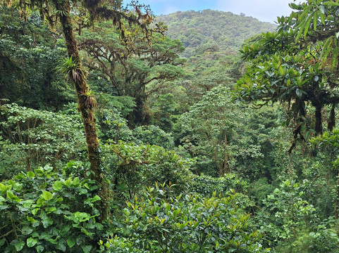 Kalkonu Travel-Ciudad Colon必去景点