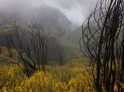 Madeira Wonder Hikes-沙尔必去景点