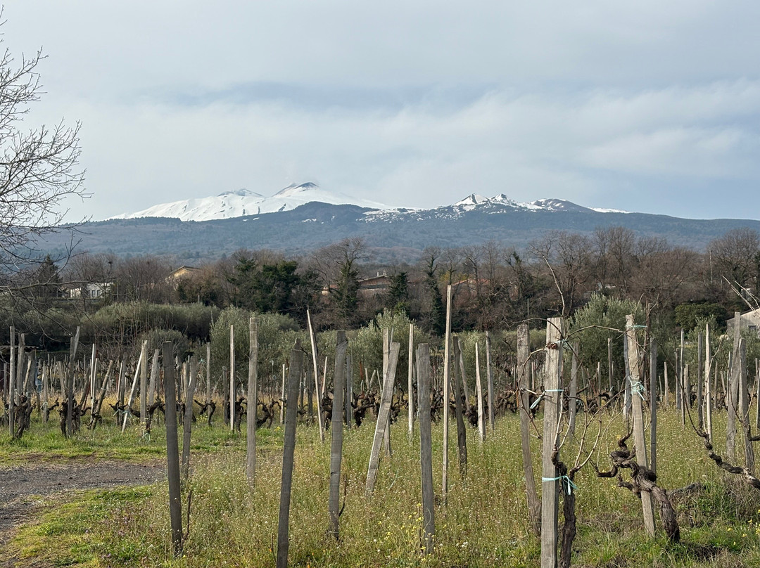 菲希纳泰努塔酒店主图