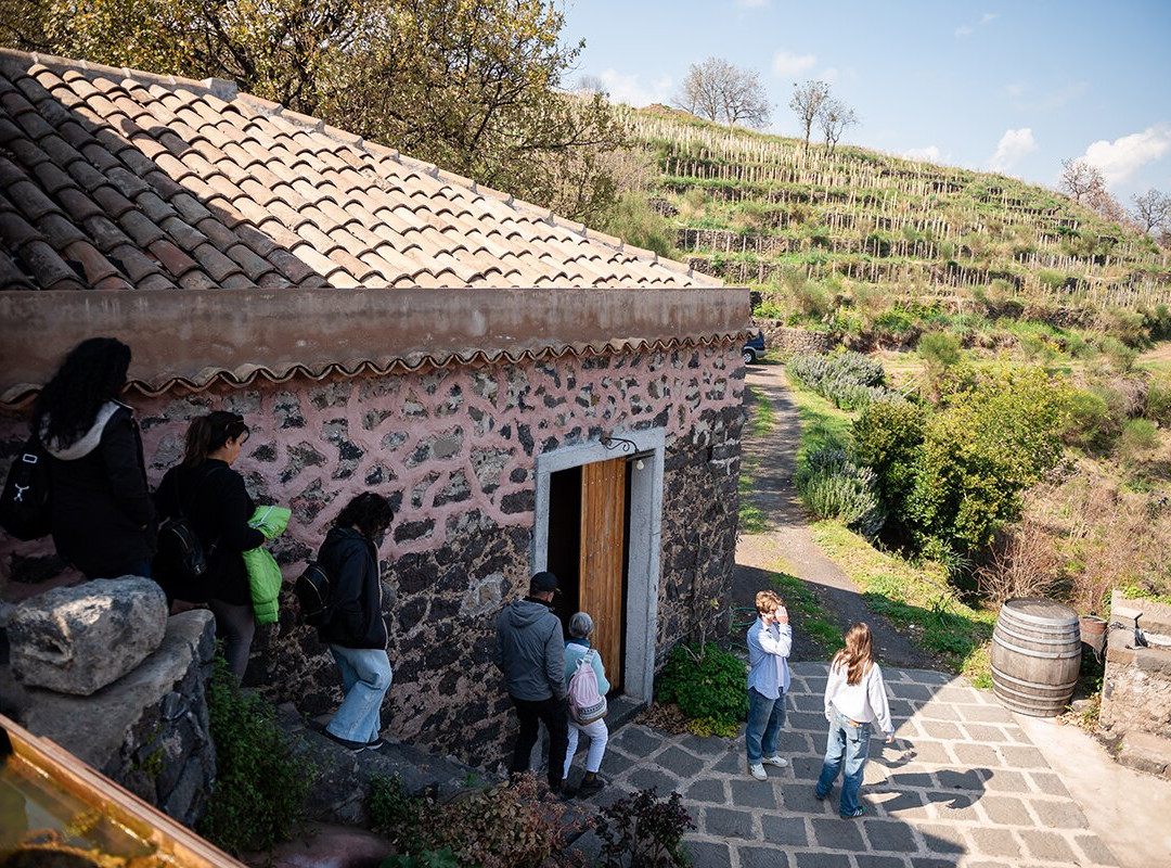 Cantina del Malandrino-Mascali必去景点