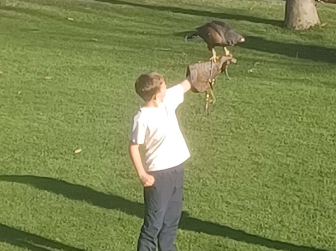 Sendaviva-Arguedas必去景点