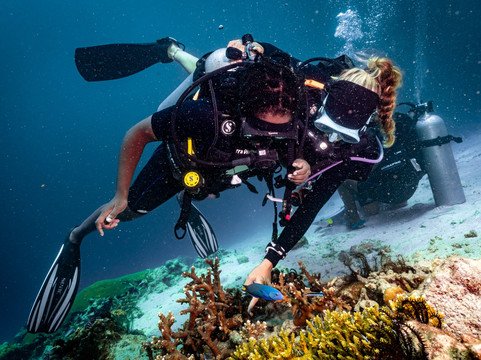 Forra Diving - Day Tour-丽贝岛必去景点