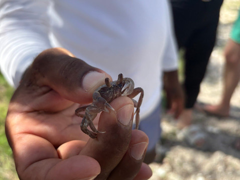 Paradisio Excursions Ile Maurice-大湾必去景点