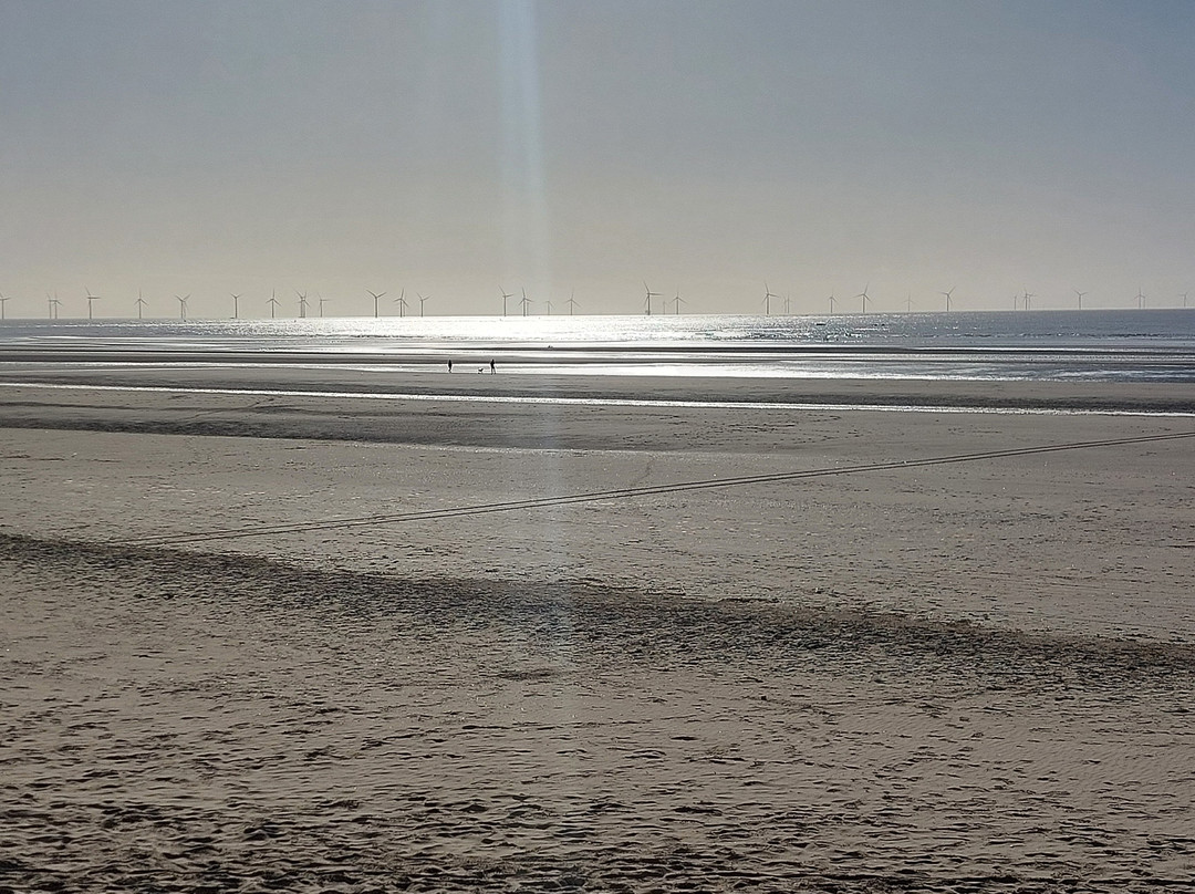 Formby旅游景点-Formby Beach (national Trust)