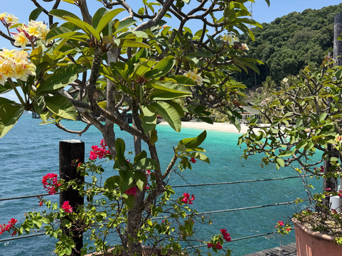 OrcaNation Dive Center at Rawa Island-丰盛港必去景点