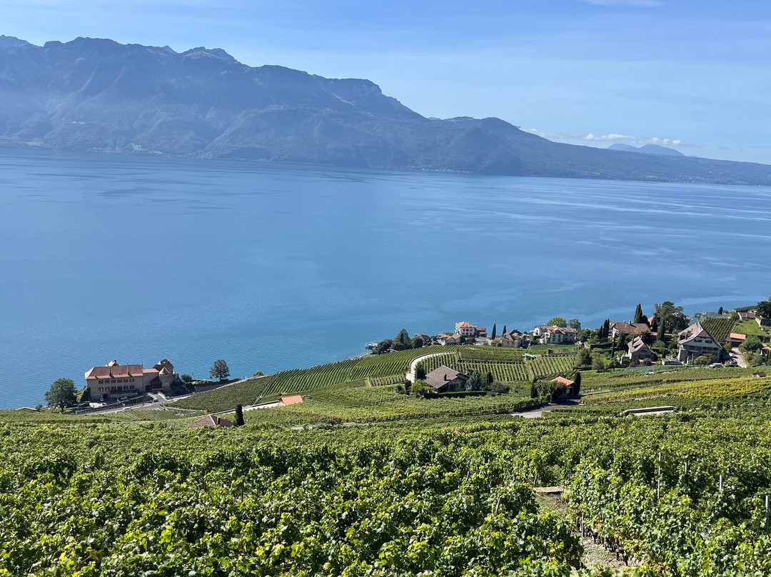 Lavaux Vineyard Terraces-居利必去景点