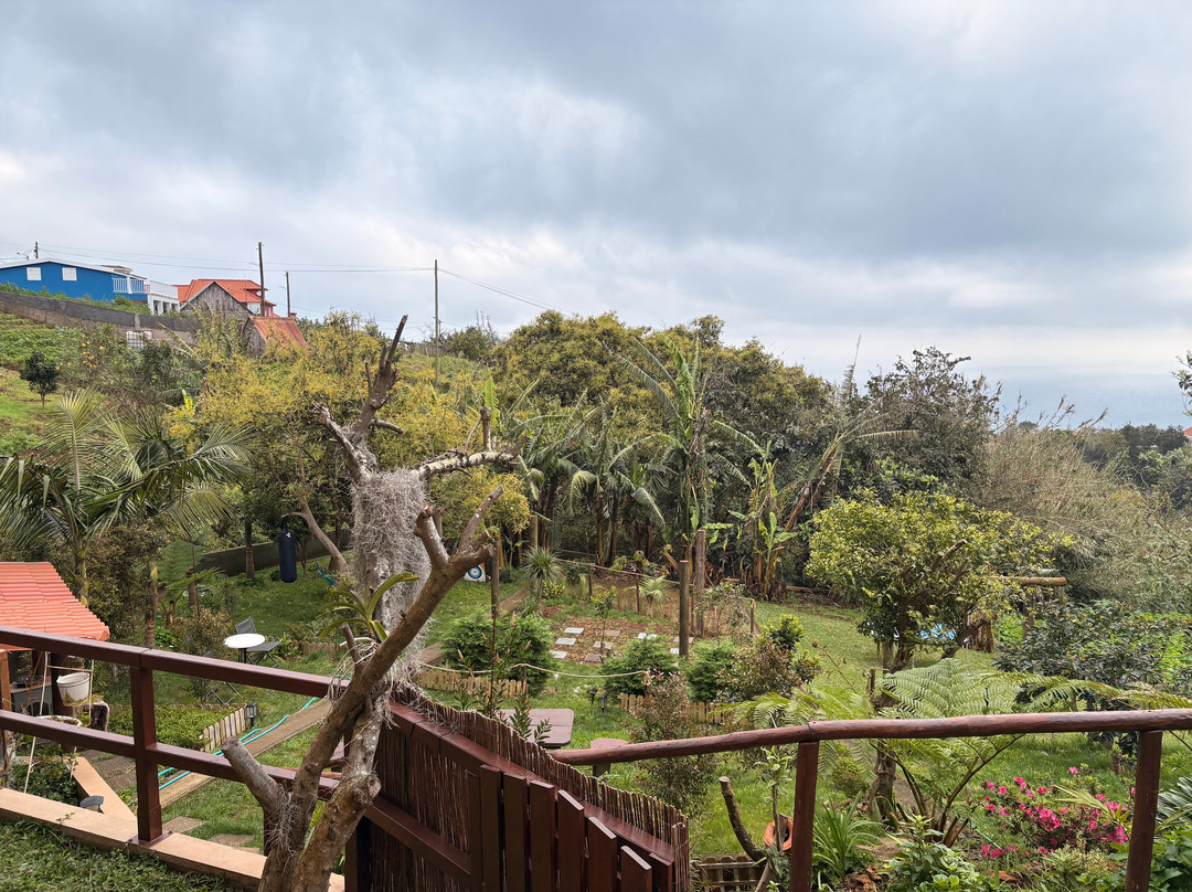 Villa Alta Vista