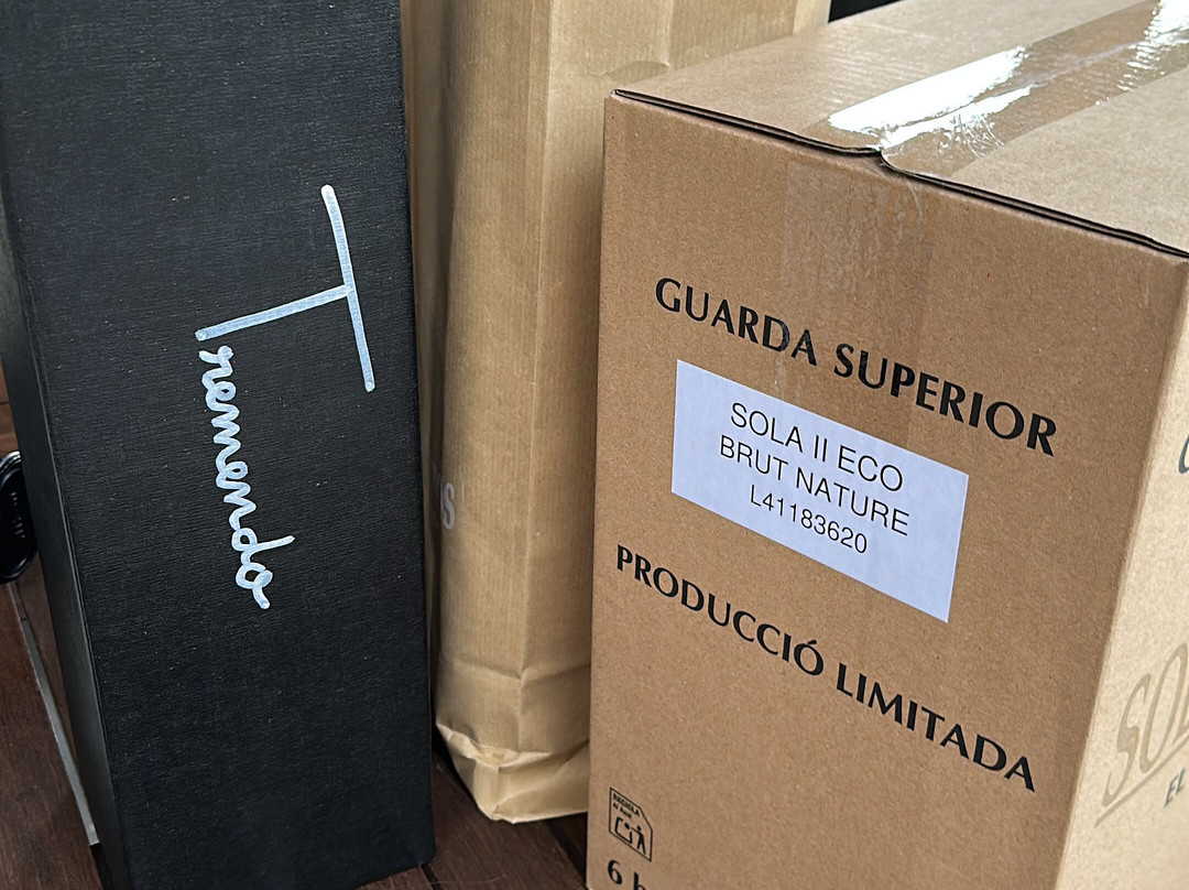 Cava Sola Raventos-桑特萨杜尔尼达诺亚必去景点