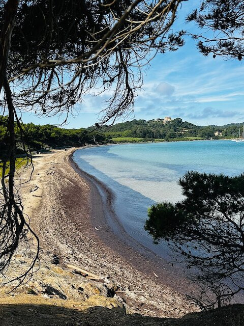 Plage de la Courtade-Porquerolles Island必去景点