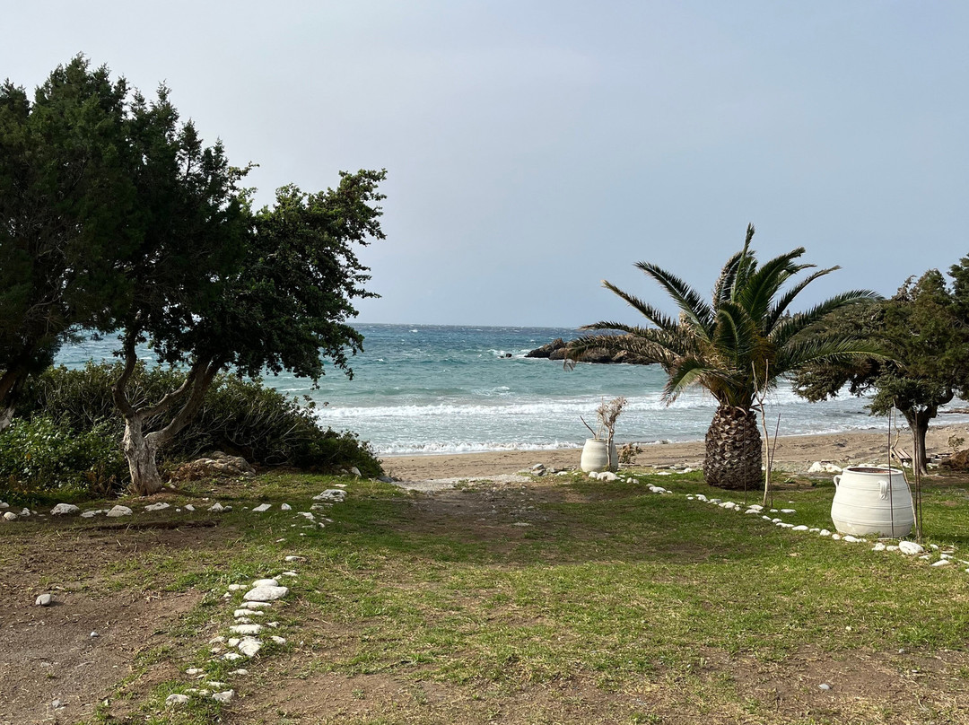 Kalo Surf - Surf School-基萨莫斯必去景点