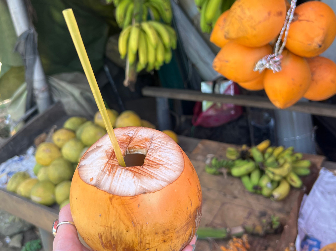 The Gilded Isle Lanka Tours-Melsiripura必去景点