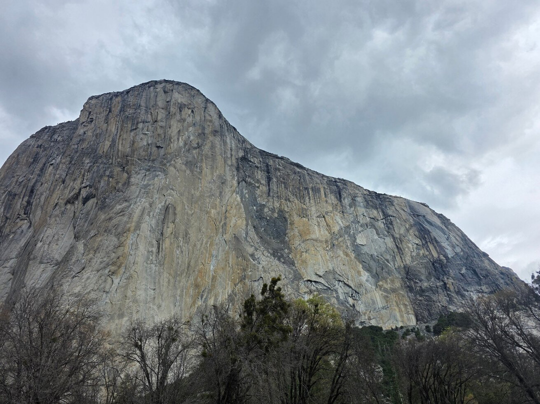 Yosemite 360 Tours-菲什营必去景点