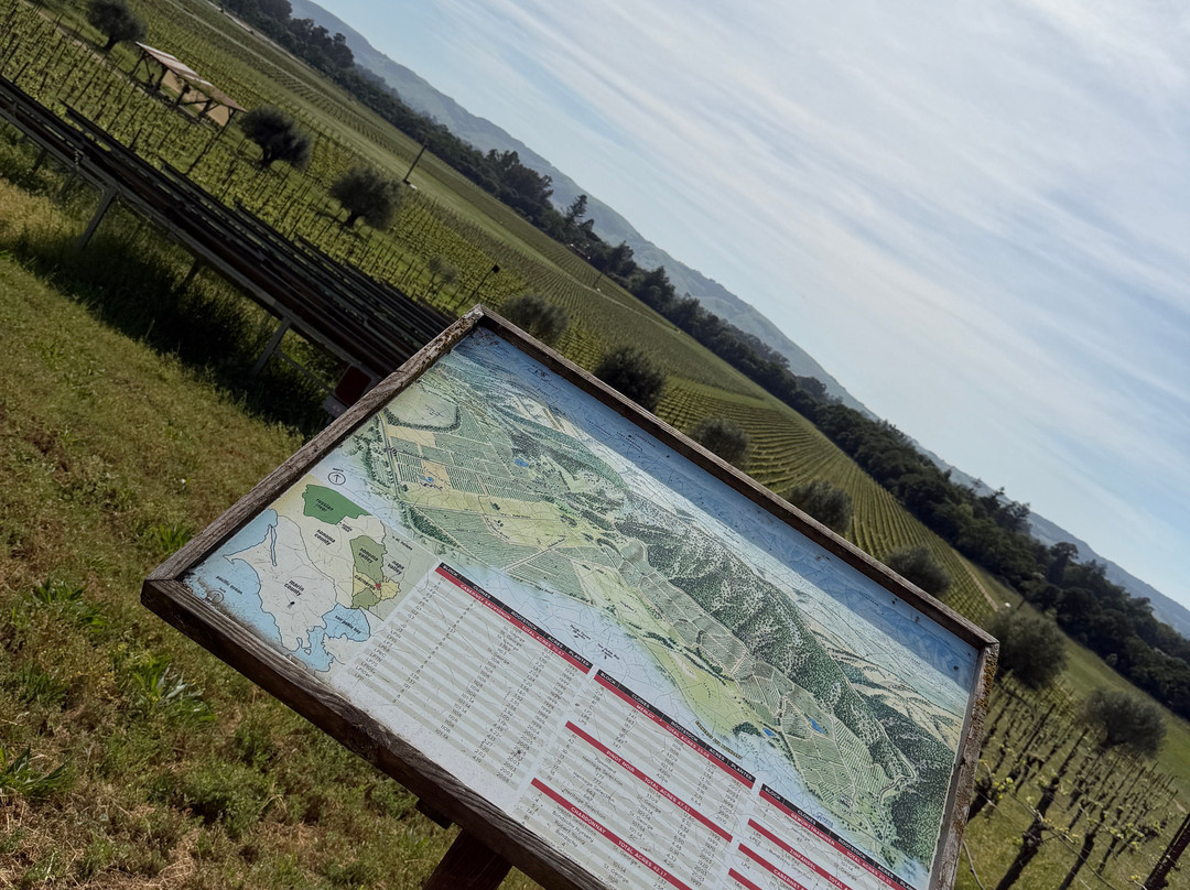 Gundlach Bundschu Winery-索诺玛必去景点