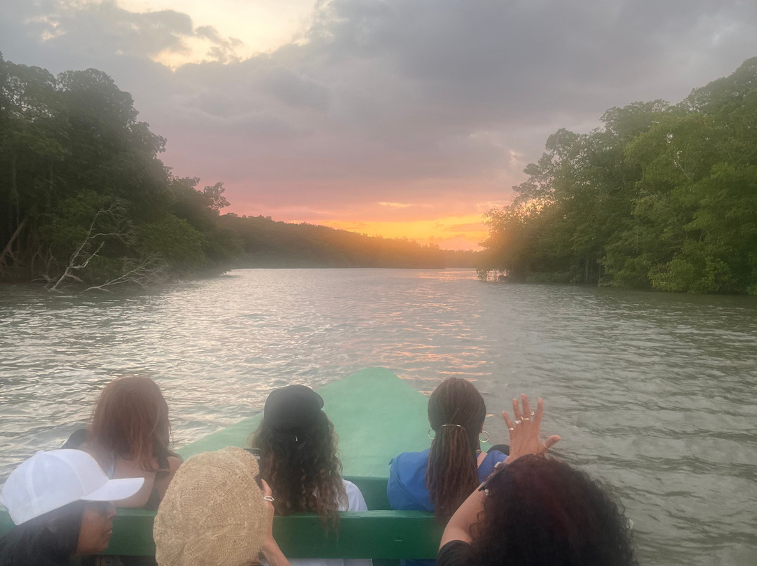 Nanan's Caroni Bird Sanctuary Tours-Caroni必去景点