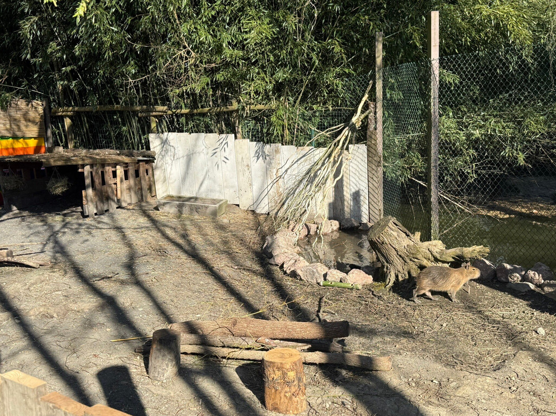 Zoom Torino-Cumiana必去景点