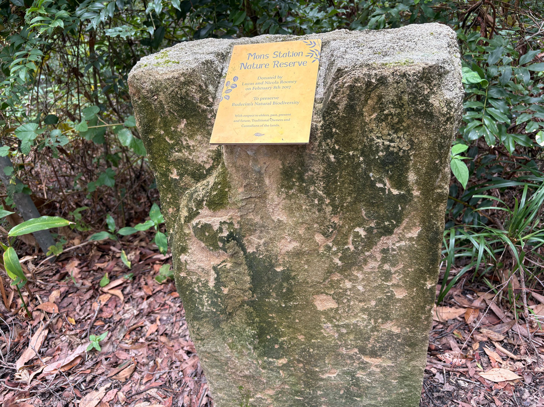 Buderim - Palmwoods Heritage Tramway-Buderim必去景点