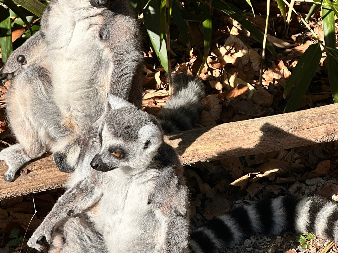 Vogelpark Avifauna-Alphen aan den Rijn必去景点