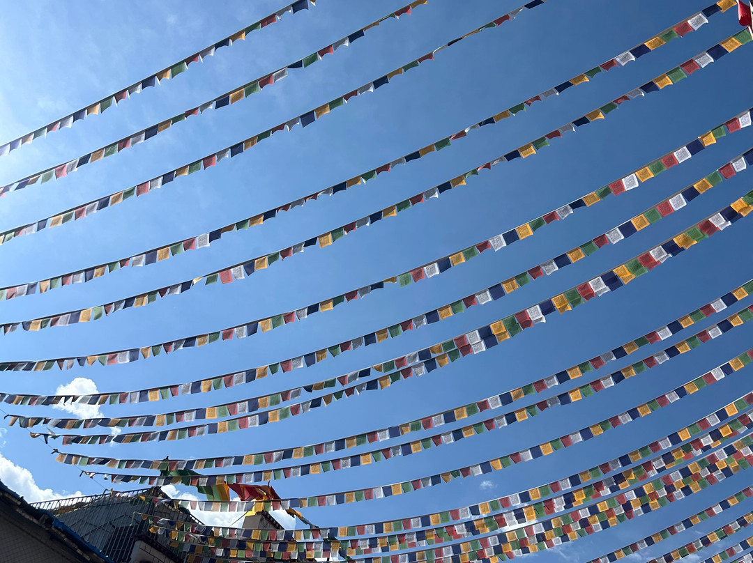 Xizang Vista-拉萨市必去景点