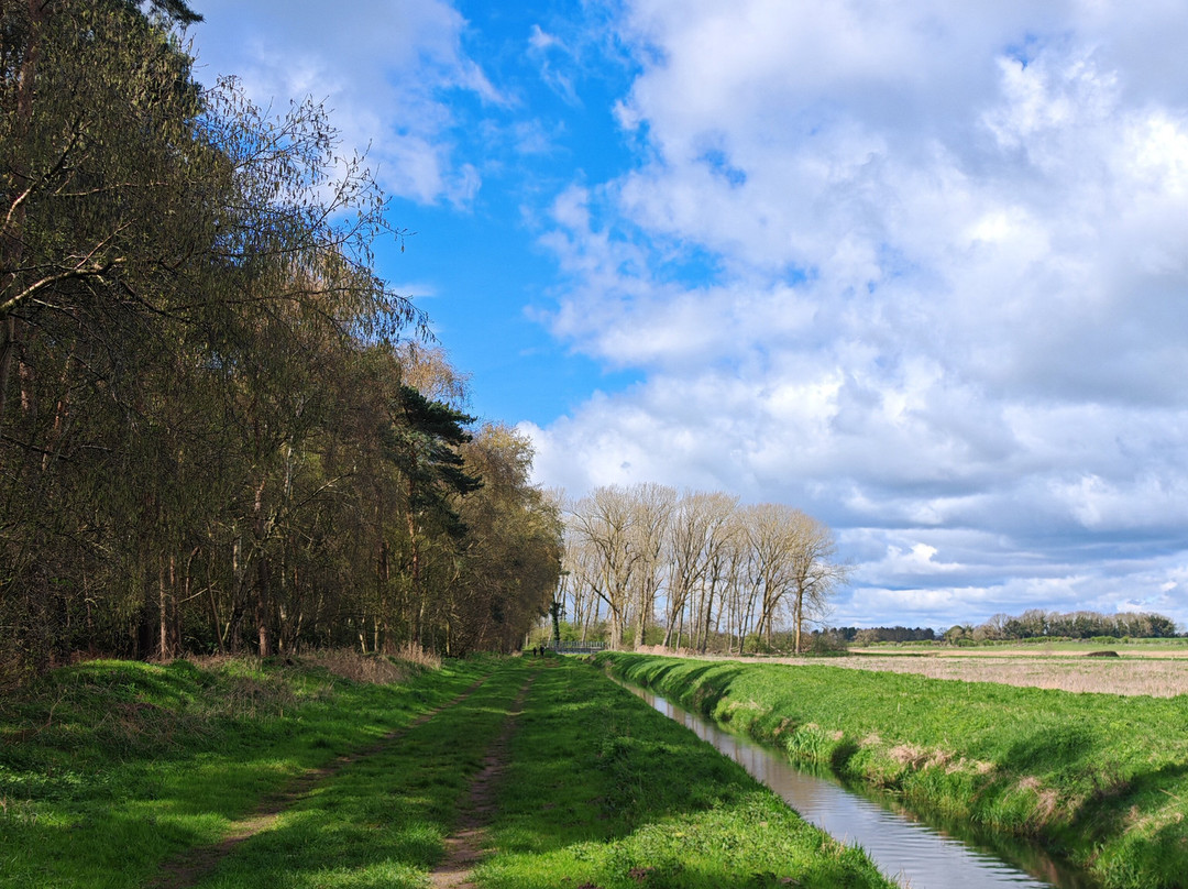 Shouldham Warren
