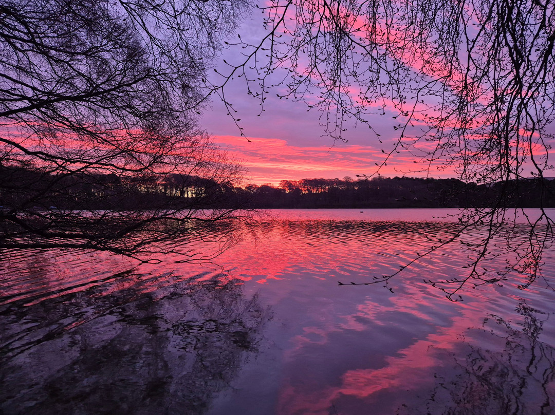 Talkin Tarn Park-卡莱尔必去景点