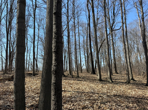 Eramosa Karst Conservation Area-Stoney Creek必去景点