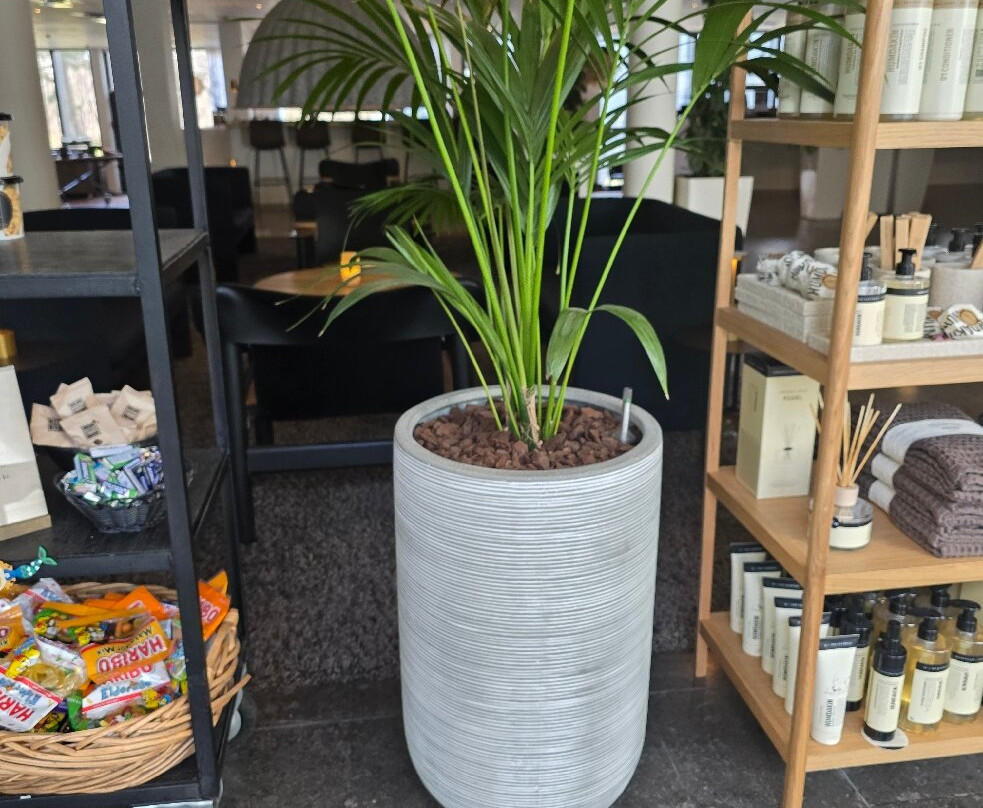 克伦威尔酒店主图