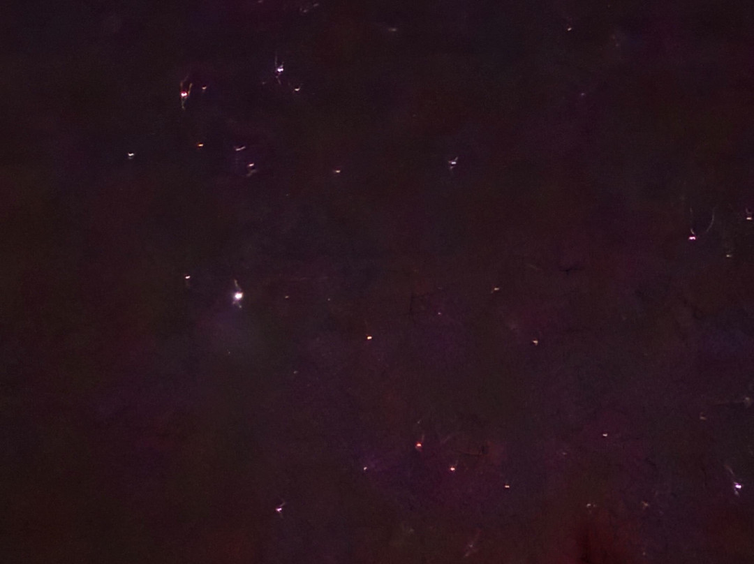 Grizedale Observatory-安布赛德必去景点