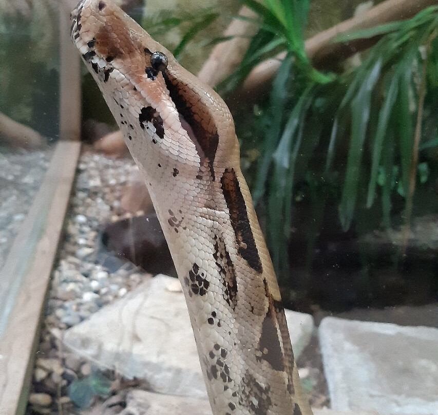 Bugtopia Hornsea Zoo-Hornsea必去景点