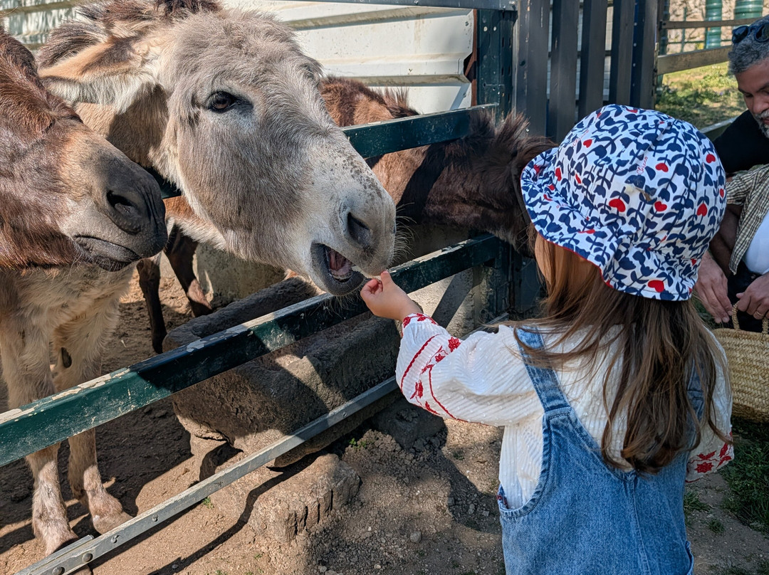 Quinta Pedagógica Quinta das Manas-吉马良斯必去景点