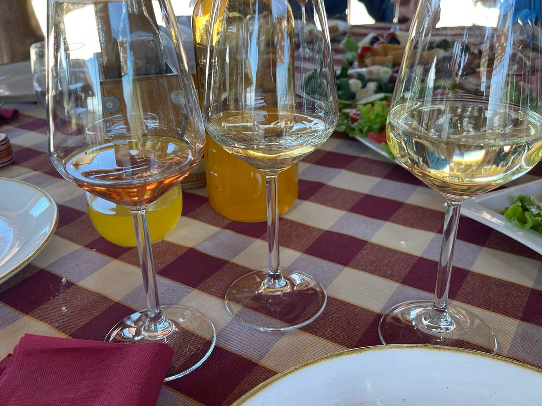 Winery Botaro-杜布罗夫尼克必去景点