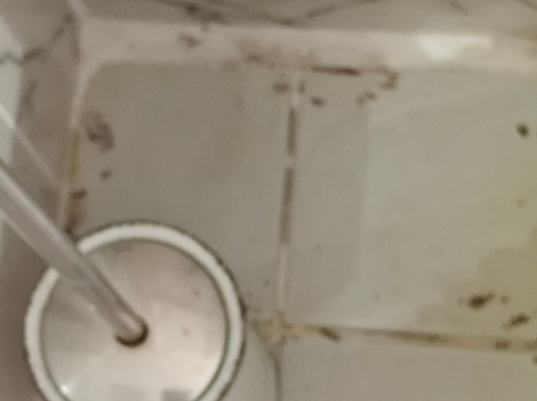 杜巴斯-布雷奥城堡酒店主图