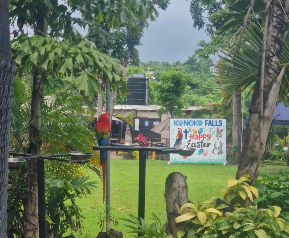 Konoko Falls & Park-奥乔里奥斯必去景点