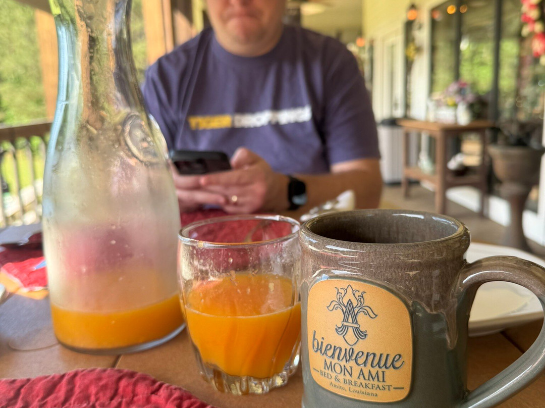 Bienvenue Mon Ami Bed and Breakfast主图