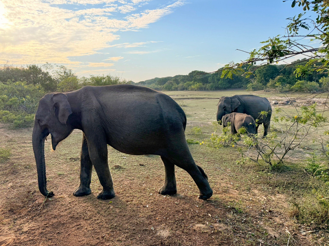 Amusing Lanka Tours-科斯戈德必去景点