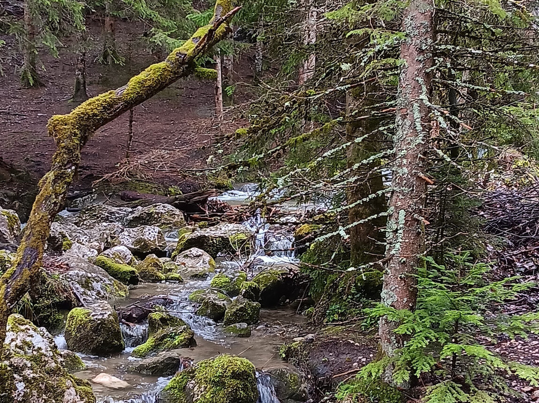 Cascade De La Fauge-维拉尔德朗必去景点