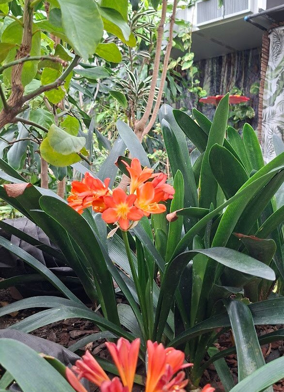 Casa delle Farfalle-Bordano必去景点