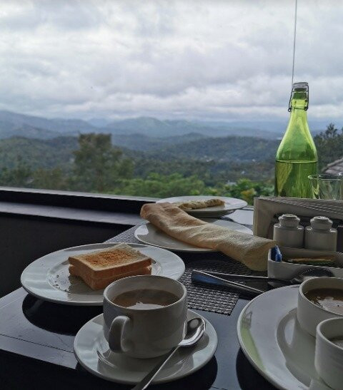 印度詩人樹酒店主图