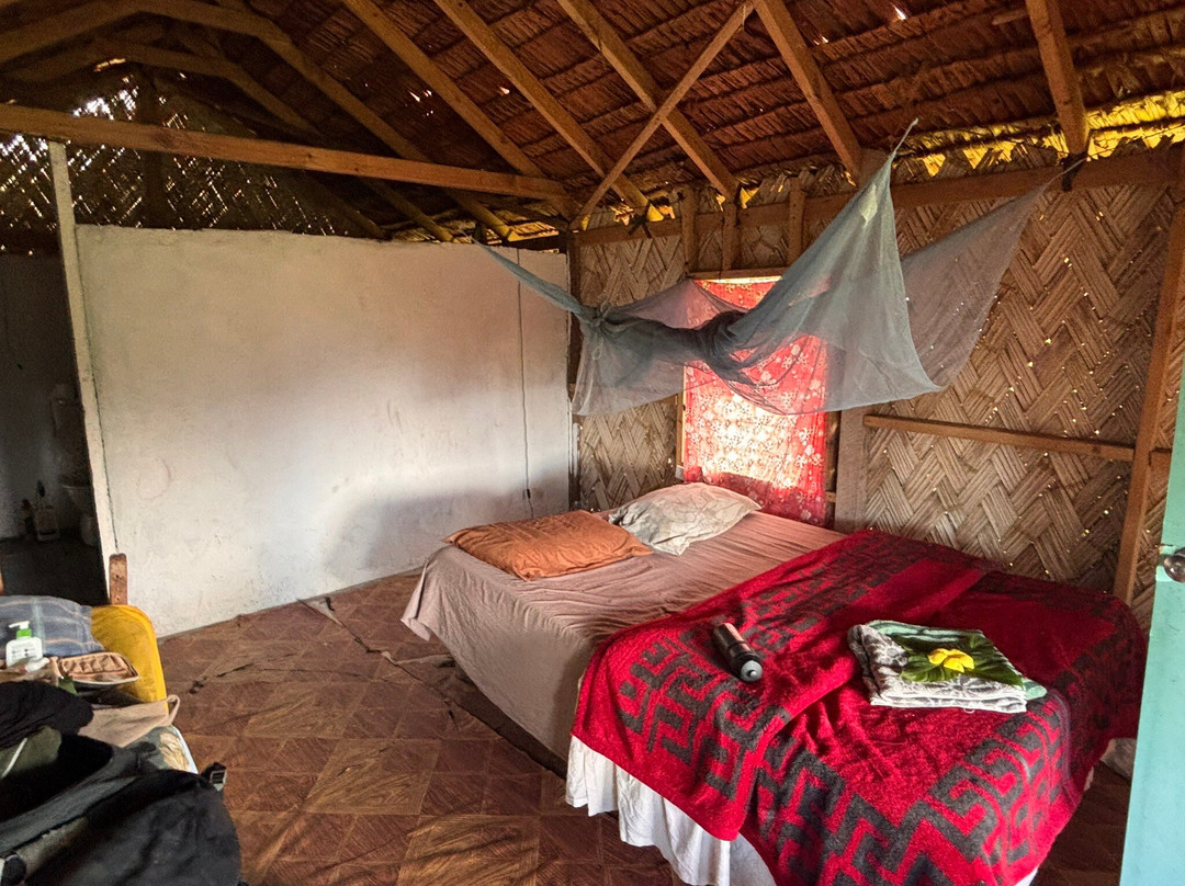 Tree House Bungalow