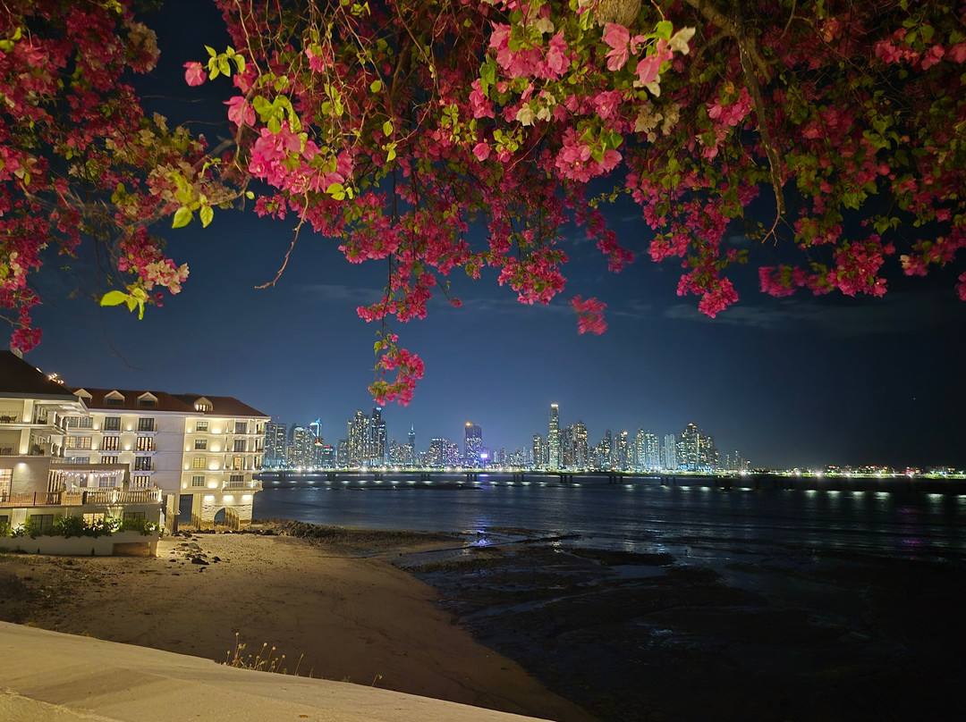 巴拿马城考古遗址-巴拿马城必去景点