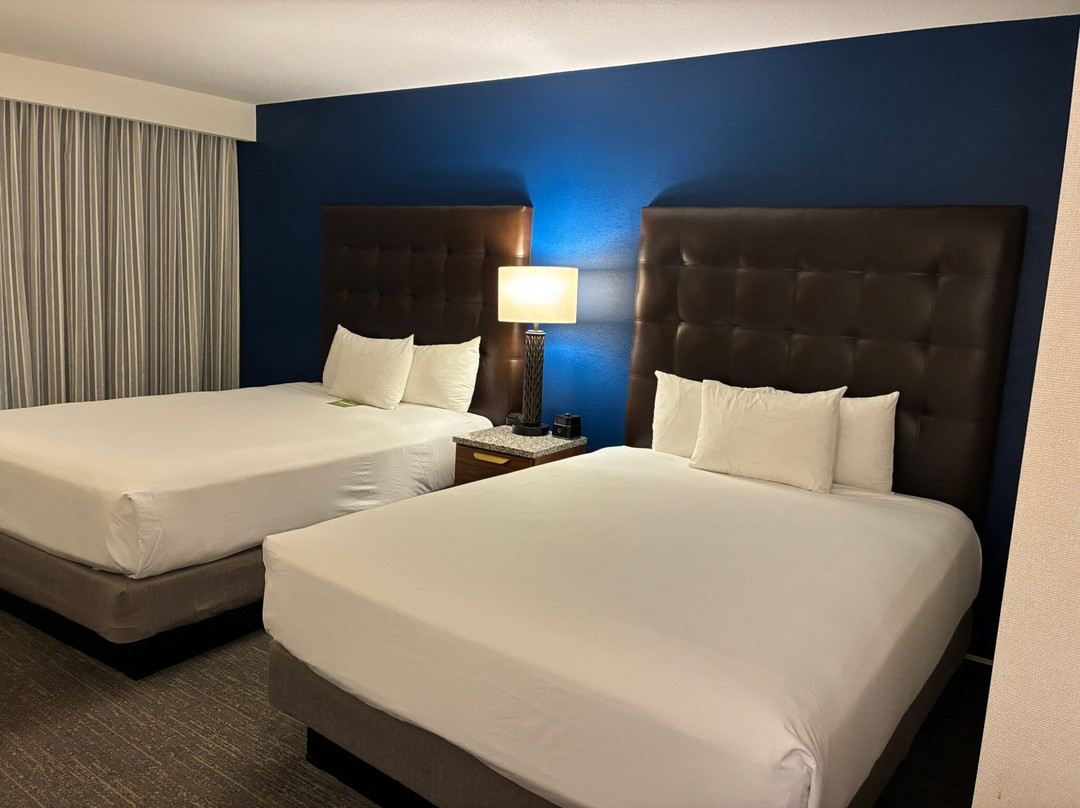 德鲁里广场酒店奥兰多-迪士尼温泉区主图