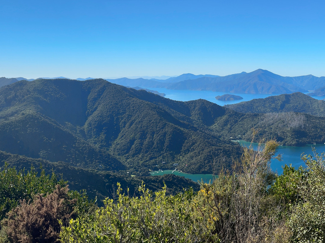 Onahau Point Lookout-Te Mahia必去景点