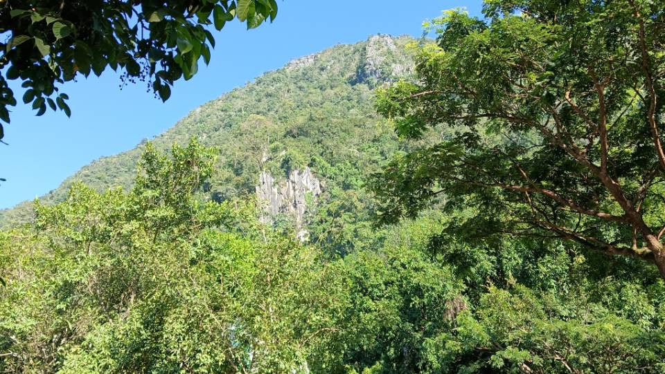 西双版纳悦椿温泉度假酒店主图