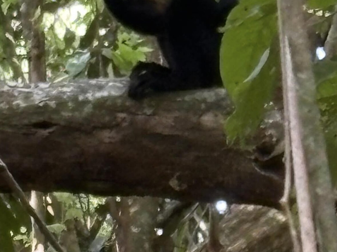 Uvita Information Center-乌维塔必去景点